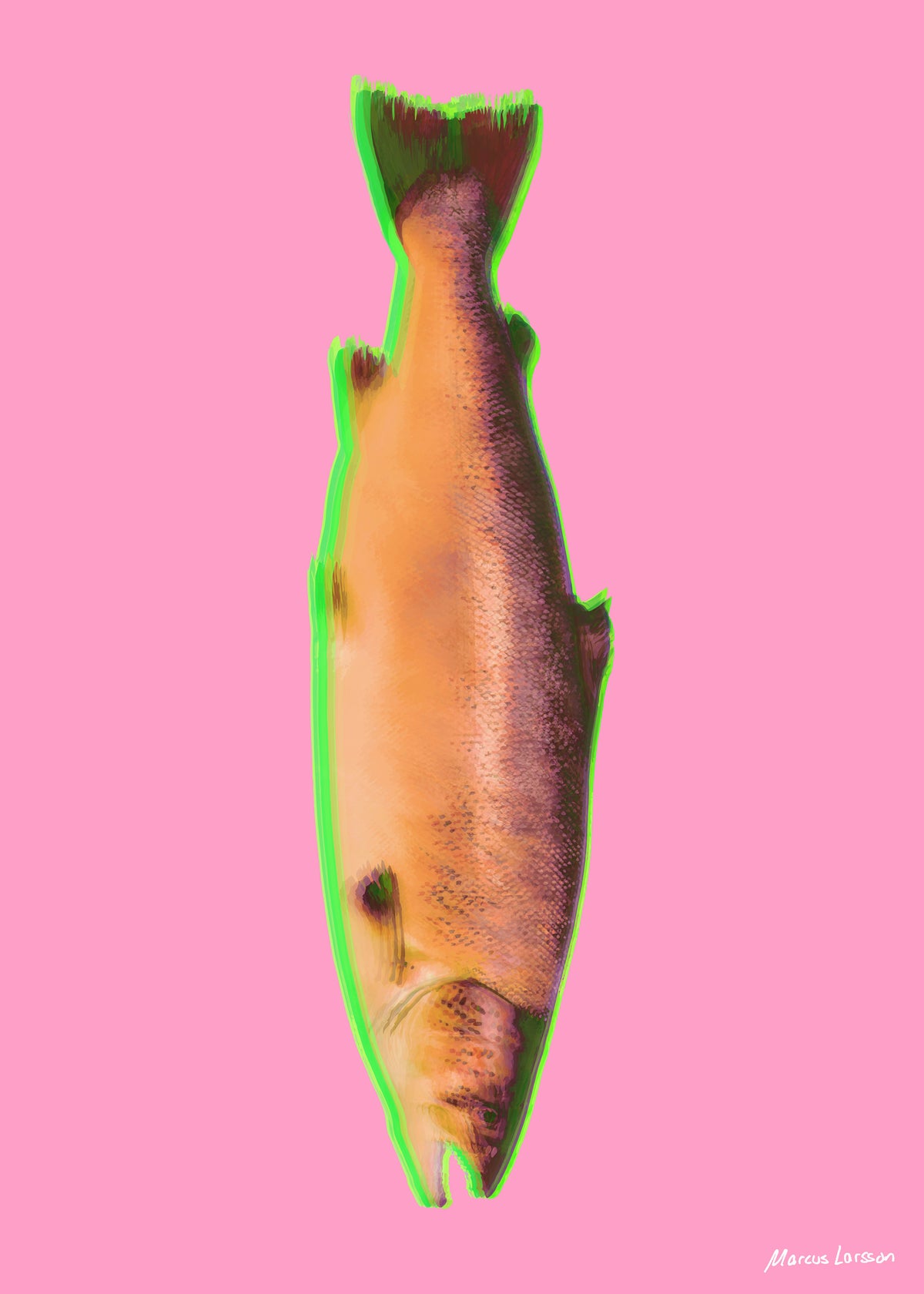 Byske Landfors Lax #02 — Aluminium — 50x70 cm — Currently on exhibition. Available for delivery in October